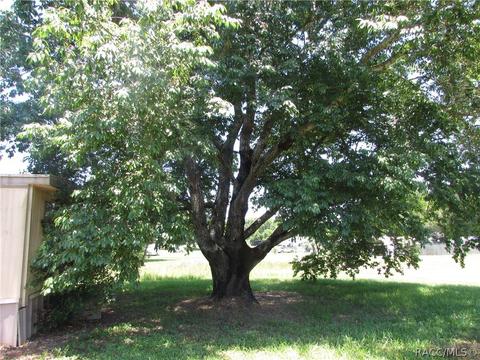 1266 N Missouri Ter, Hernando, FL 34442 photo 7