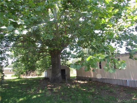 1266 N Missouri Ter, Hernando, FL 34442 photo 10