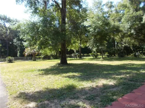 5028 N Tanglewood Ave, Hernando, FL 34442 photo 18