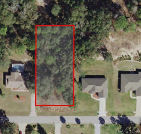 1621 E St James Loop, Inverness, FL 34442 photo 1