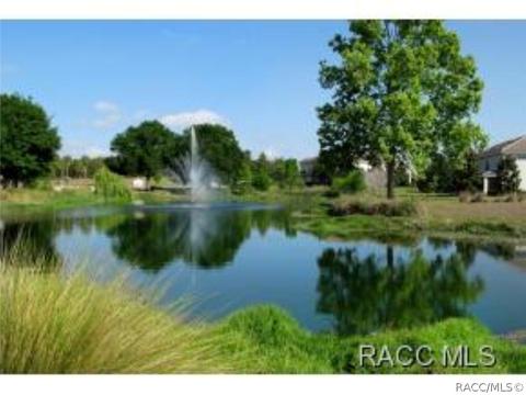 1588 W Spring Meadow Loop, Lecanto, FL 34461 photo 33