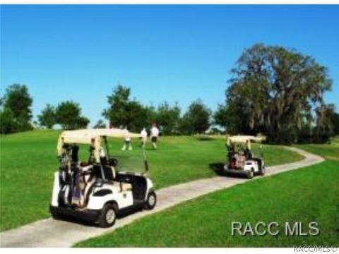 1588 W Spring Meadow Loop, Lecanto, FL 34461 photo 34
