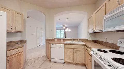 1588 W Spring Meadow Loop, Lecanto, FL 34461 photo 15