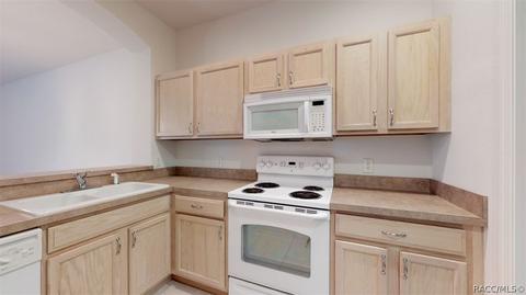1588 W Spring Meadow Loop, Lecanto, FL 34461 photo 14