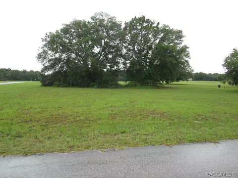 220 E Samuel Ct, Hernando, FL 34442 photo 1