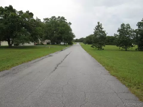 220 E Samuel Ct, Hernando, FL 34442 photo 3