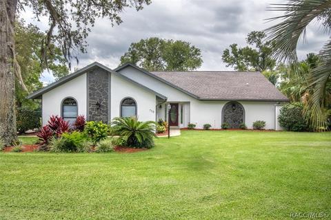 712 E Keller Ct, Hernando, FL 34442 photo 10