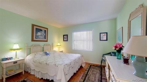 712 E Keller Ct, Hernando, FL 34442 photo 25