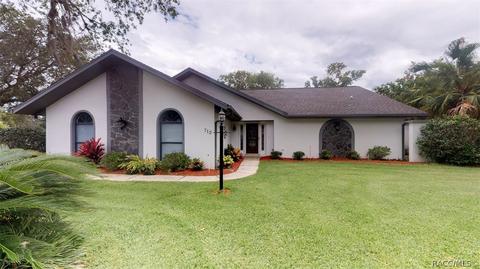 712 E Keller Ct, Hernando, FL 34442 photo 35