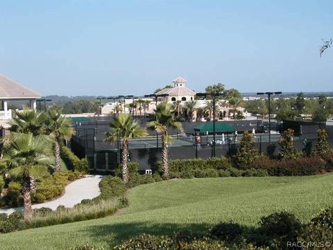 615 W Doerr Path, Hernando, FL 34442 photo 48