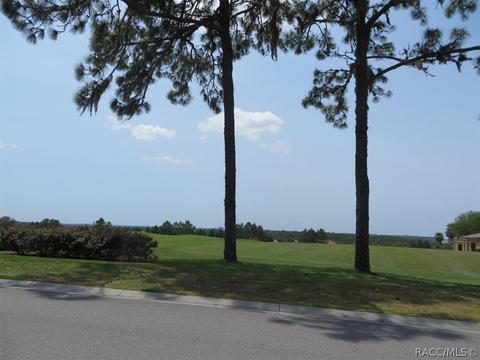 615 W Doerr Path, Hernando, FL 34442 photo 41