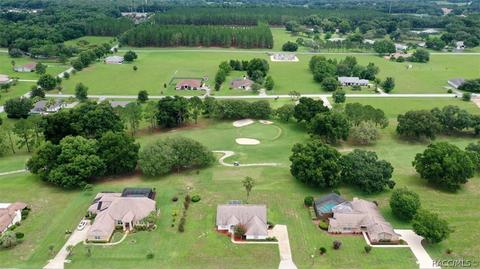 157 E Dakota Ct, Hernando, FL 34442 photo 31
