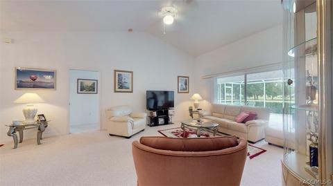 157 E Dakota Ct, Hernando, FL 34442 photo 8