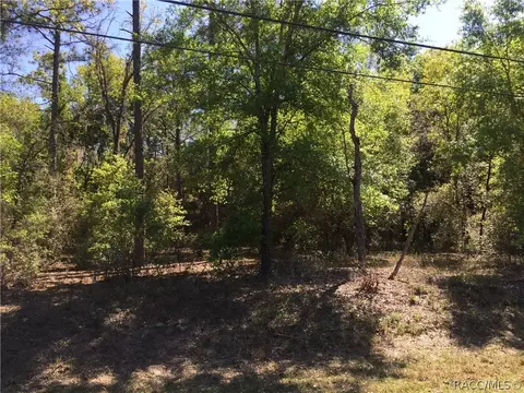 5750 E Arbor St, Inverness, FL 34452 photo 6