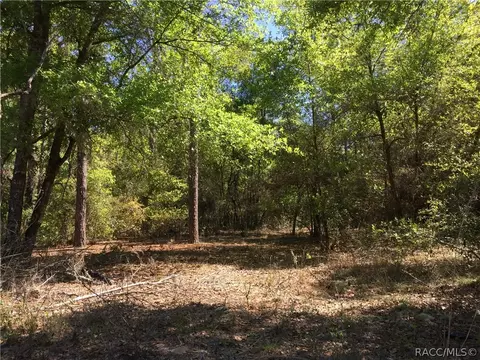 5750 E Arbor St, Inverness, FL 34452 photo 2