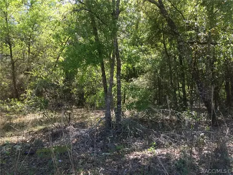 5750 E Arbor St, Inverness, FL 34452 photo 3