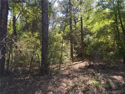 5750 E Arbor St, Inverness, FL 34452 photo 4