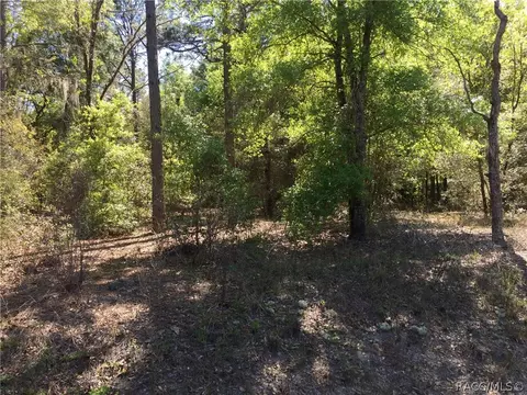 5750 E Arbor St, Inverness, FL 34452 photo 5