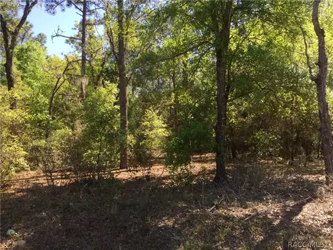 5750 E Arbor St, Inverness, FL 34452 photo 1
