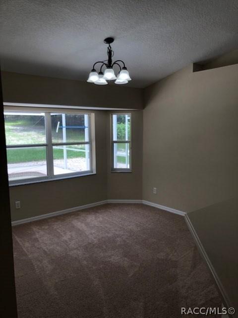 1119 E Mckinley St, Hernando, FL 34442 photo 9