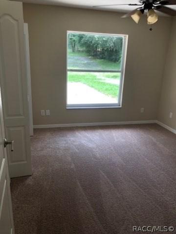 1119 E Mckinley St, Hernando, FL 34442 photo 13