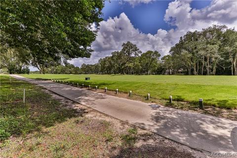 60 E Ireland Ct, Hernando, FL 34442 photo 18
