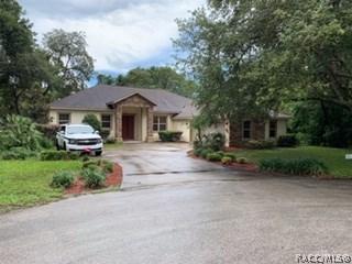 60 E Ireland Ct, Hernando, FL 34442 photo 1