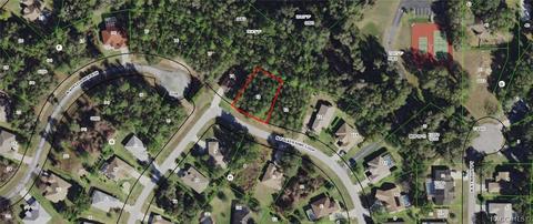 2919 N Folkestone Loop, Hernando, FL 34442 photo 2
