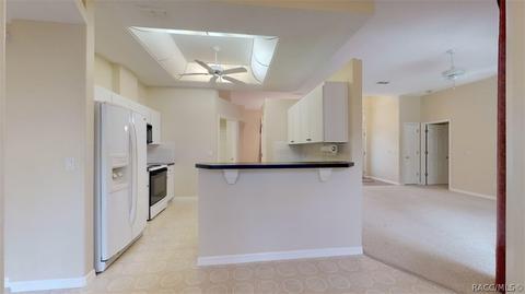 2945 N Hamlin Ter, Hernando, FL 34442 photo 10