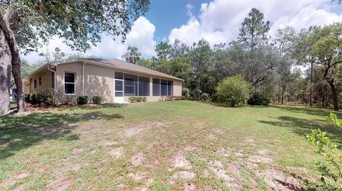2945 N Hamlin Ter, Hernando, FL 34442 photo 32