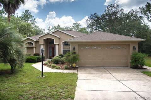 2945 N Hamlin Ter, Hernando, FL 34442 photo 1