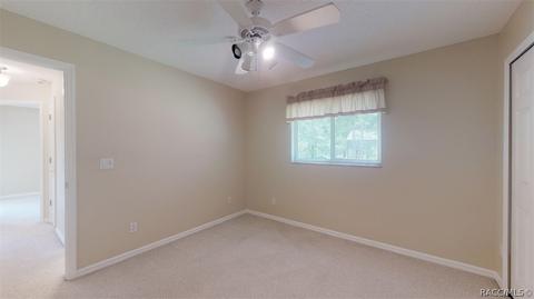 2945 N Hamlin Ter, Hernando, FL 34442 photo 23