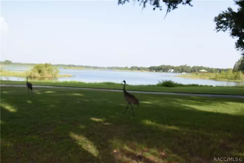 3851 E Arbor Lakes Dr, Hernando, FL 34442 photo 32