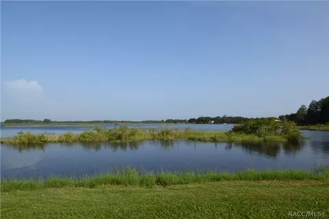 3851 E Arbor Lakes Dr, Hernando, FL 34442 photo 31