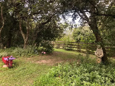 854 E Whitecloud Ln, Hernando, FL 34442 photo 44