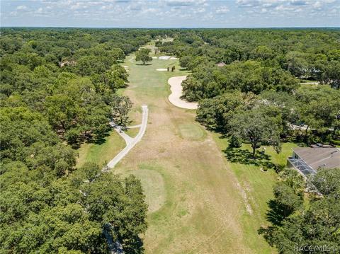 23 E Liberty St, Hernando, FL 34442 photo 34