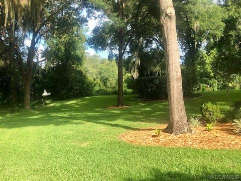 3104 N Chandler Dr, Hernando, FL 34442 photo 28
