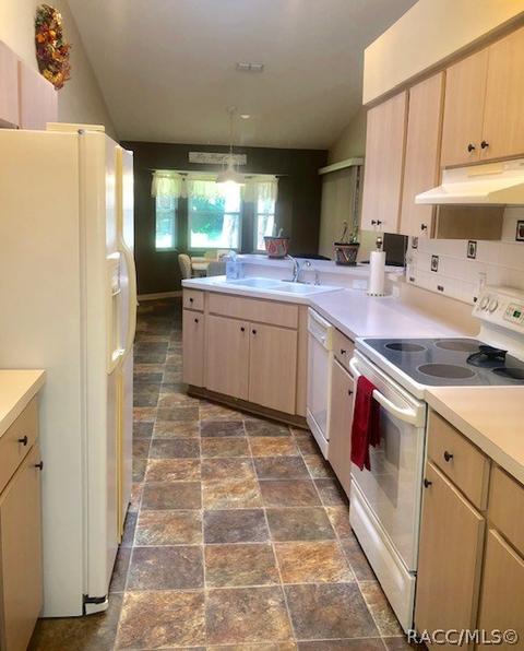 3104 N Chandler Dr, Hernando, FL 34442 photo 14