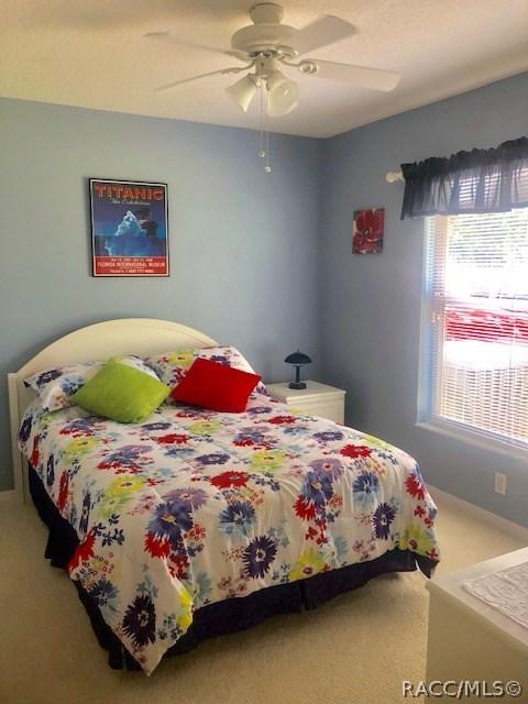 3104 N Chandler Dr, Hernando, FL 34442 photo 18
