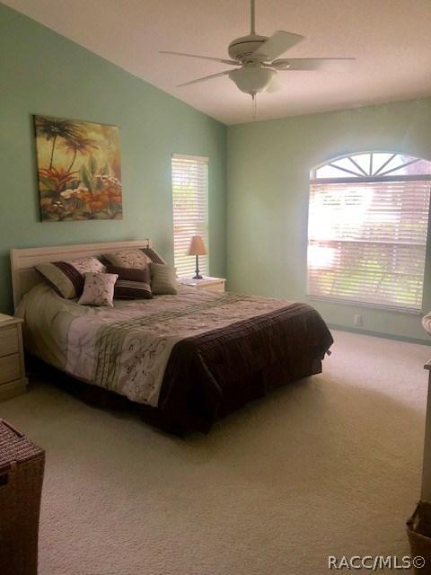 3104 N Chandler Dr, Hernando, FL 34442 photo 19