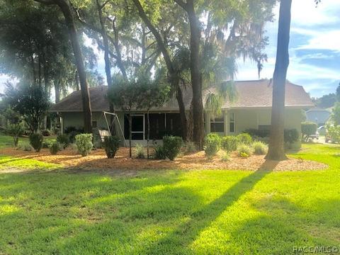 3104 N Chandler Dr, Hernando, FL 34442 photo 6