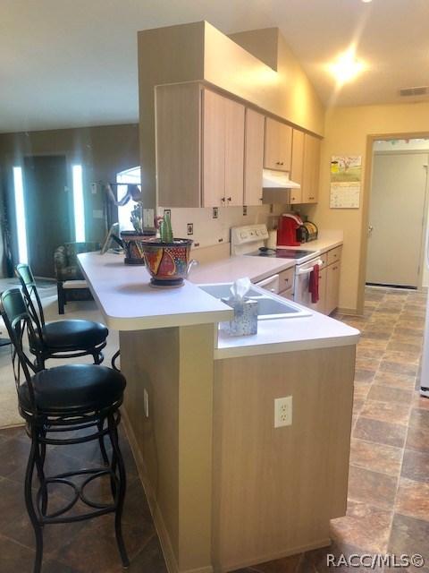 3104 N Chandler Dr, Hernando, FL 34442 photo 17
