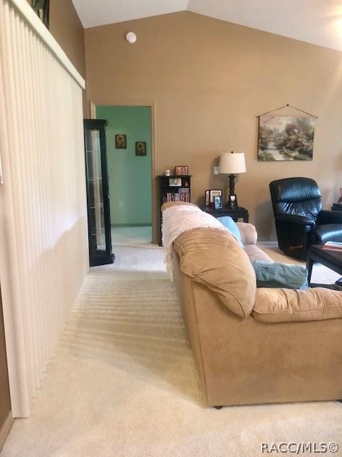 3104 N Chandler Dr, Hernando, FL 34442 photo 12