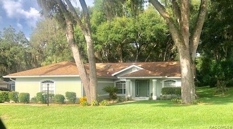 3104 N Chandler Dr, Hernando, FL 34442 photo 4