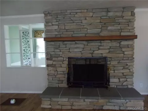 4040 E Shorewood Dr, Hernando, FL 34442 photo 4
