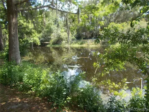 4040 E Shorewood Dr, Hernando, FL 34442 photo 27