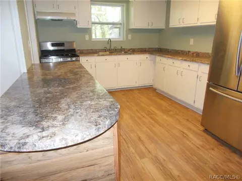 4040 E Shorewood Dr, Hernando, FL 34442 photo 5