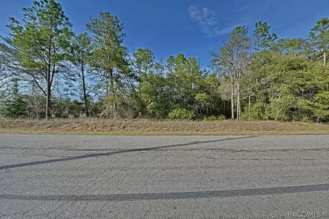 1205 E Overdrive Cir, Hernando, FL 34442 photo 8