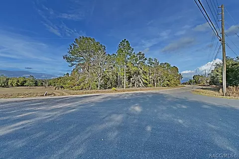 1205 E Overdrive Cir, Hernando, FL 34442 photo 5