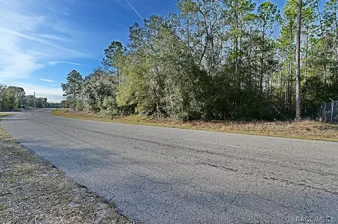 1205 E Overdrive Cir, Hernando, FL 34442 photo 9